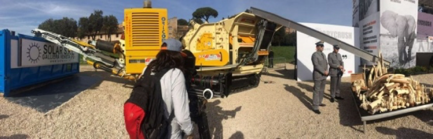 Ivory Cruch Italia: Smaltimento affidato a Solar SRL